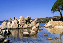 NBA季后赛赛程吃紧，达拉斯独行侠赛后遗憾出局，底气十足，球队文化再被提及的简单介绍-LOL直播赛事